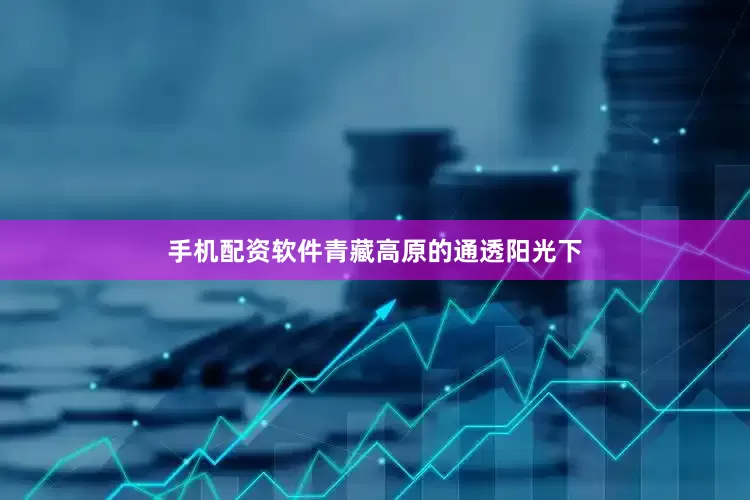 手机配资软件青藏高原的通透阳光下