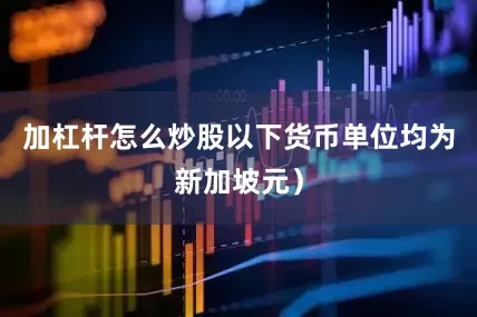 加杠杆怎么炒股以下货币单位均为新加坡元）