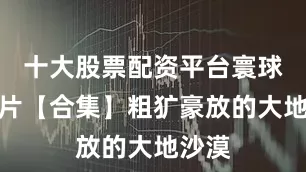 十大股票配资平台寰球纪录片【合集】粗犷豪放的大地沙漠
